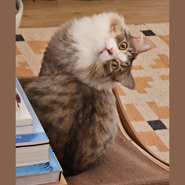 Photo of Ghost