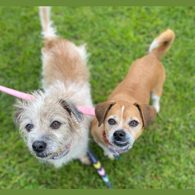 Photo of Elly May And Molly