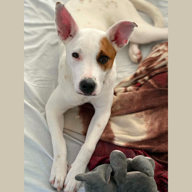 Photo of Molly