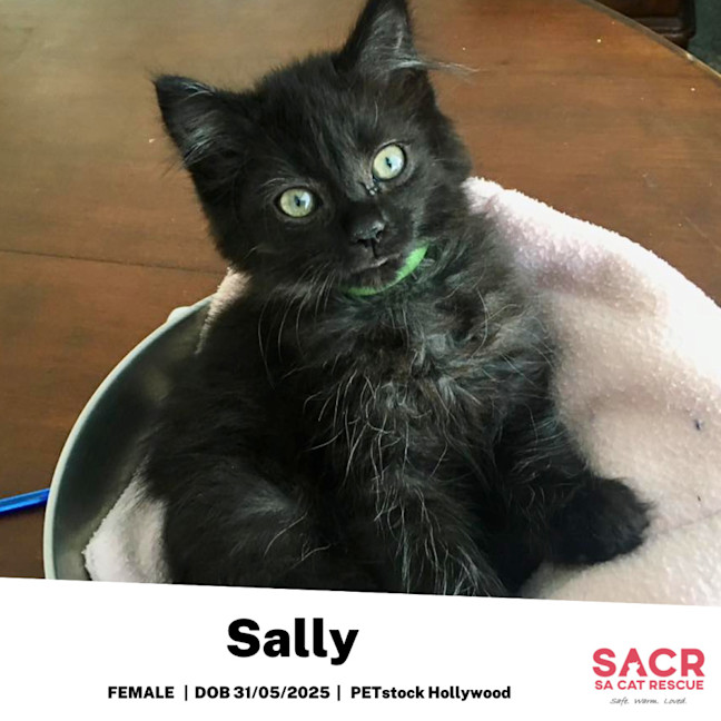Photo of Sally