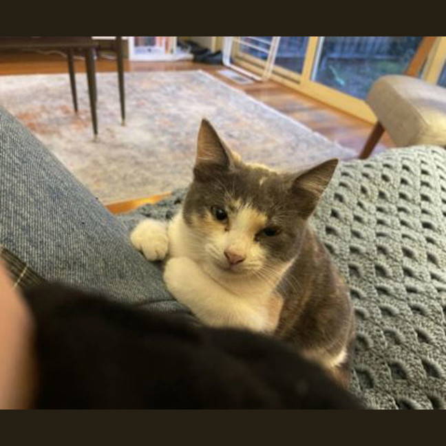 Photo of Clementine