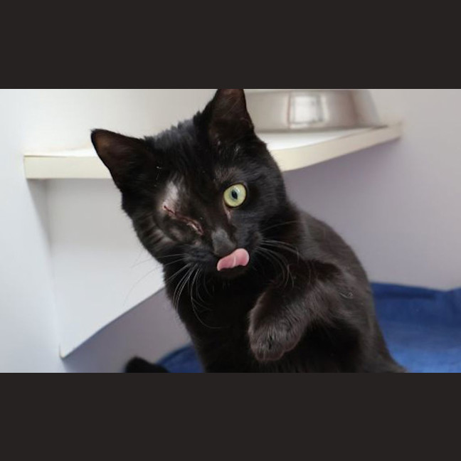 Photo of Lucky Jackie
