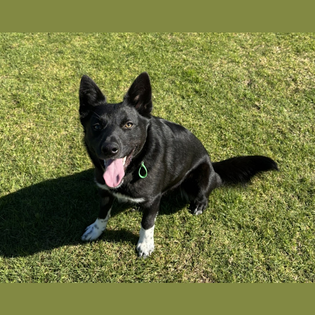 Photo of Axel