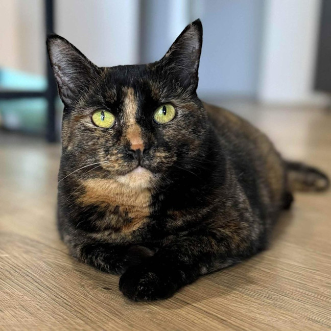 Photo of 6193   Minnie