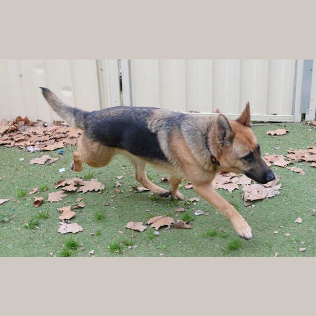 Photo of Agatha