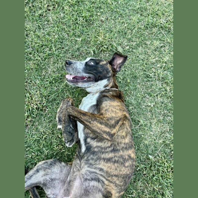 Photo of Rayne