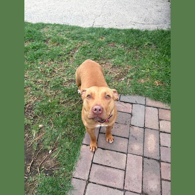 Photo of Sweetie