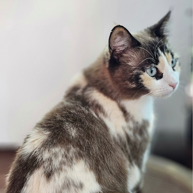 Photo of Miss Marbles