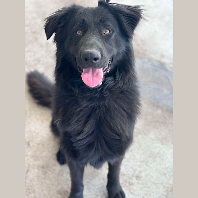 Photo of Jagger Imp 1613