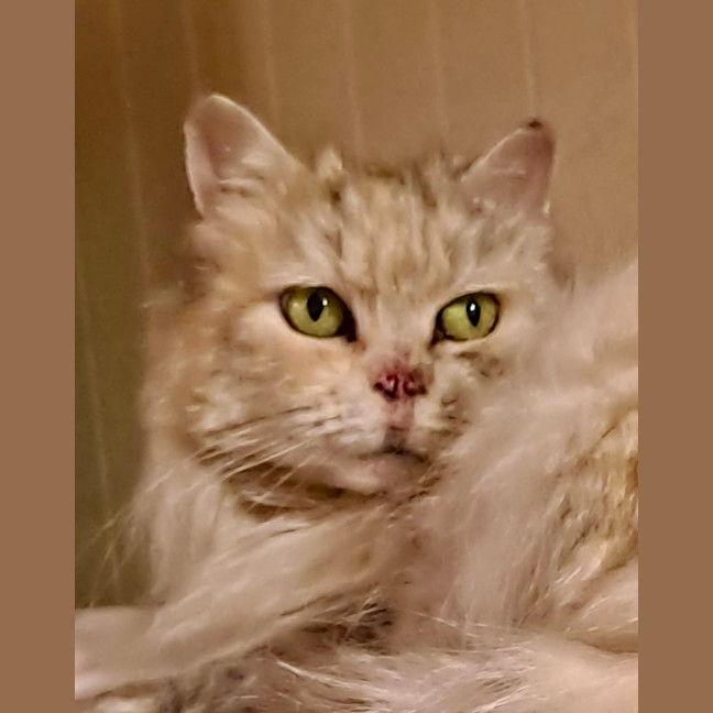 Photo of Angela