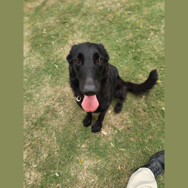 Photo of Nyla