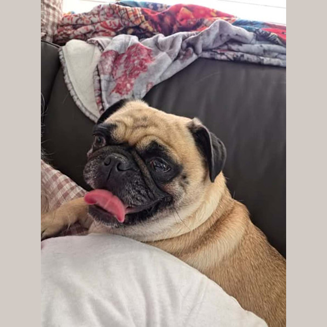 Photo of Miss Daisy
