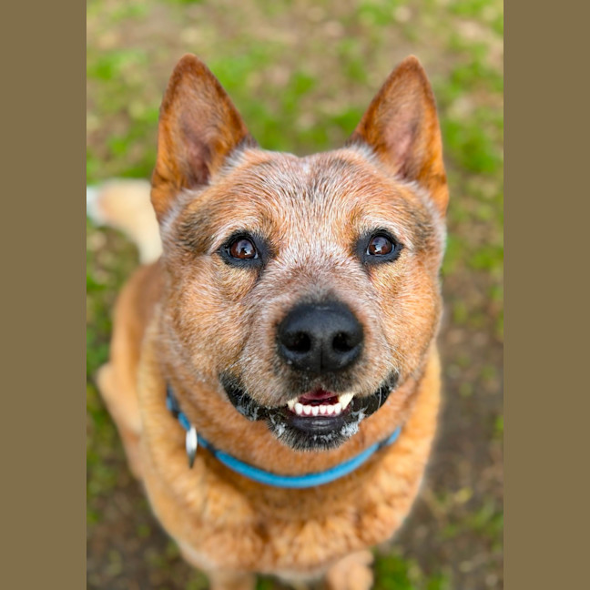 Photo of Buster