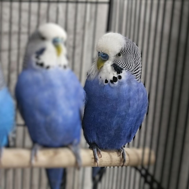 Photo of Lars Beakrich