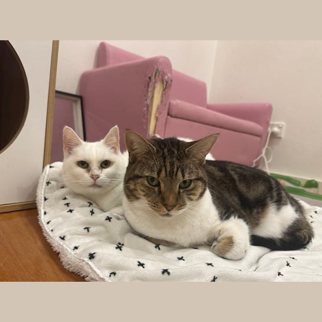 Photo of Rachel & Iggy