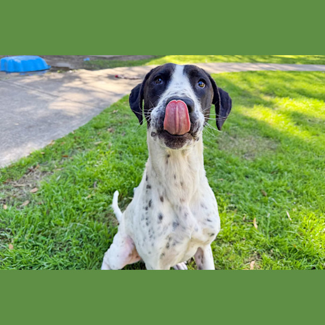 Photo of Isadora