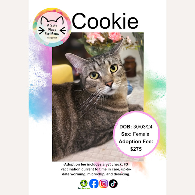 Photo of Cookie