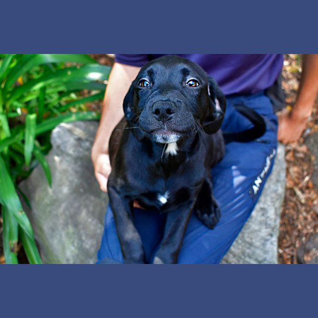 Photo of Madame Squish