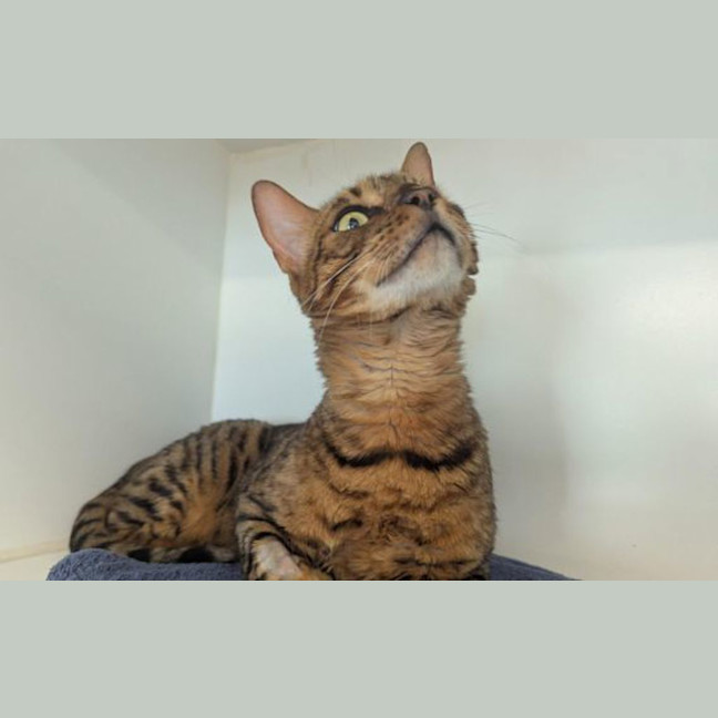 Photo of Tiberius