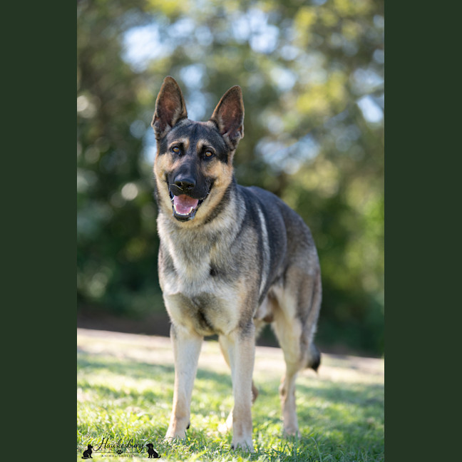 Photo of Storm