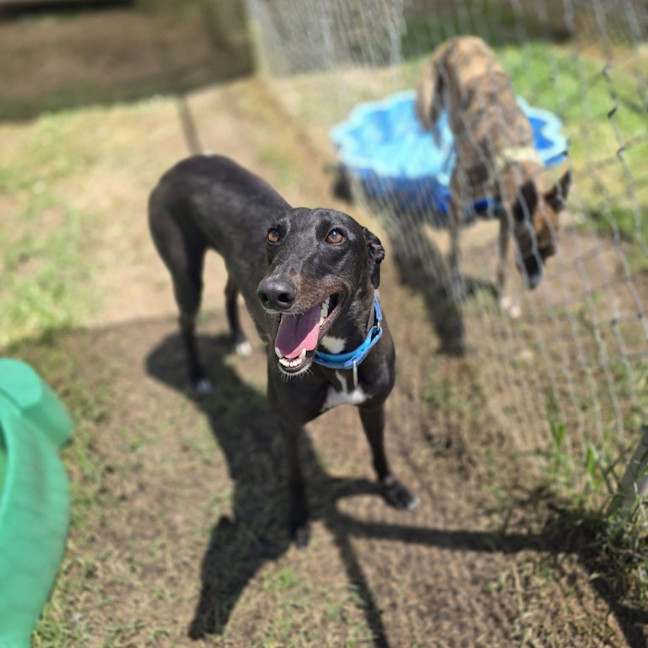 Photo of Shadow Moon