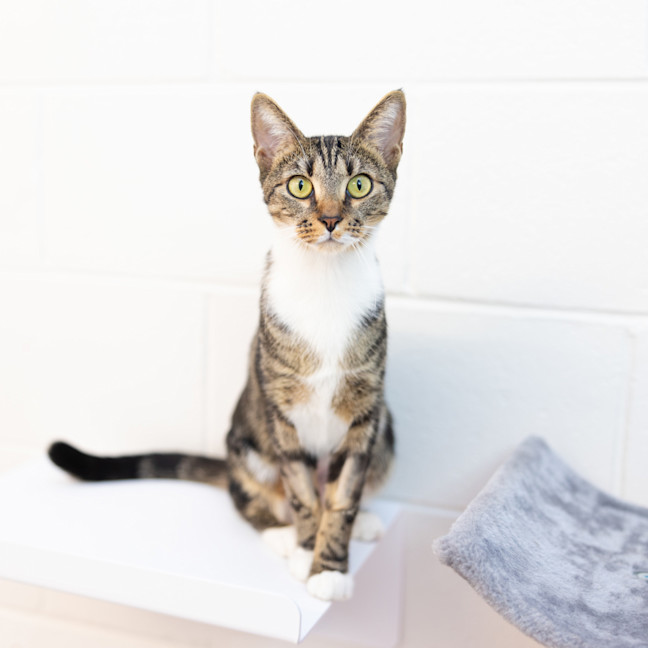 Photo of Helga