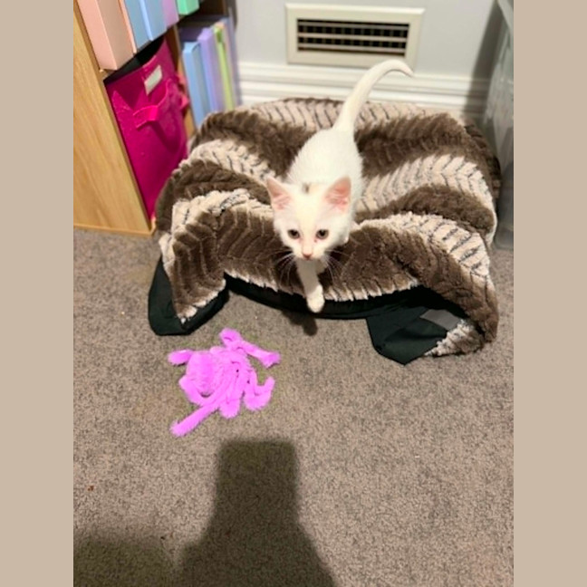 Photo of Jolly