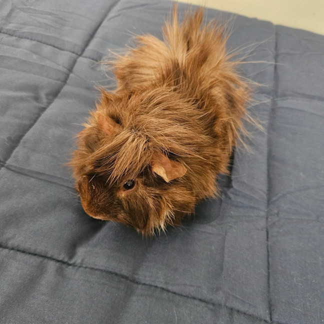 Photo of Fred & Barney