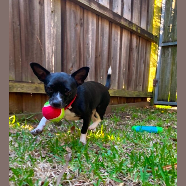 Photo of Lola