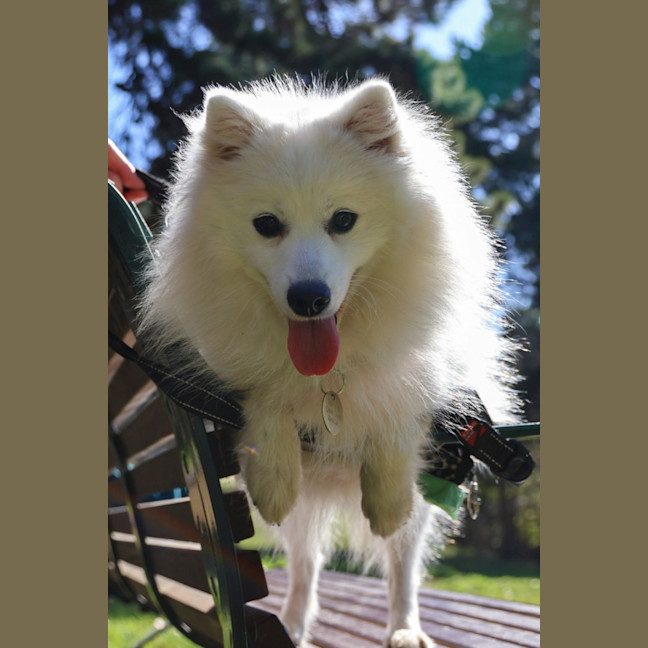 Photo of Tsuki