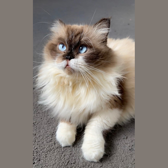 Photo of Edmund