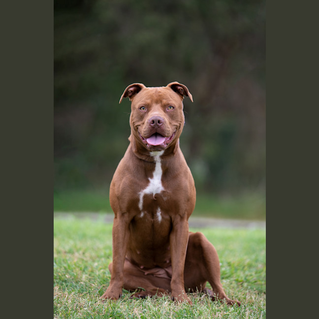 Photo of Mocha