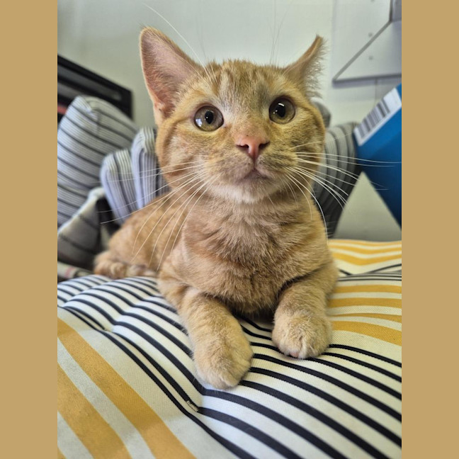 Photo of Wilma
