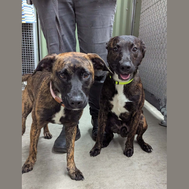 Photo of Winter & Baxter