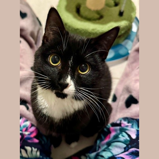 Photo of Charlie