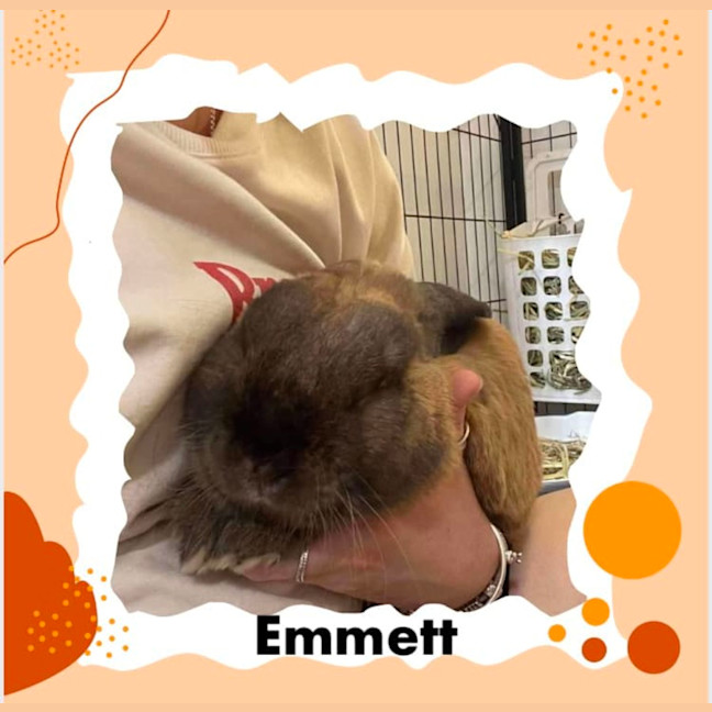 Photo of Emmett