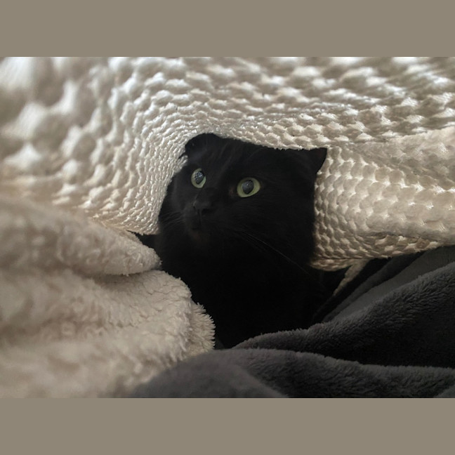 Photo of Lola