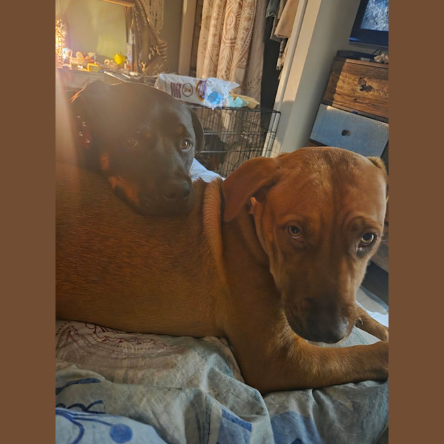 Photo of Belle