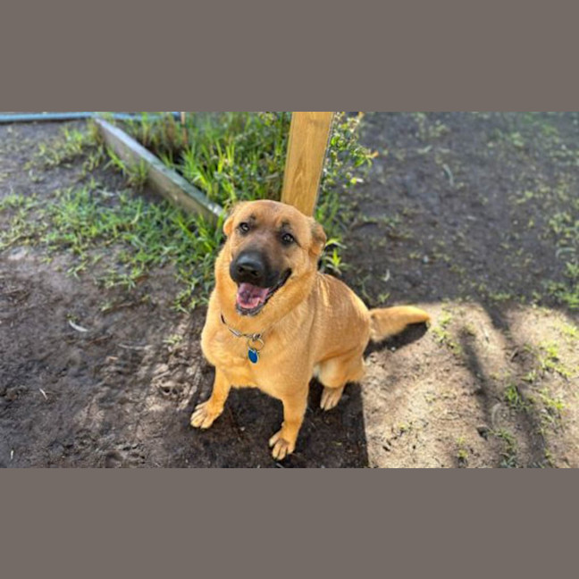 Photo of Daisy