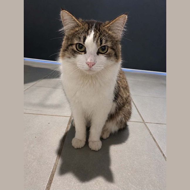 Photo of Spike