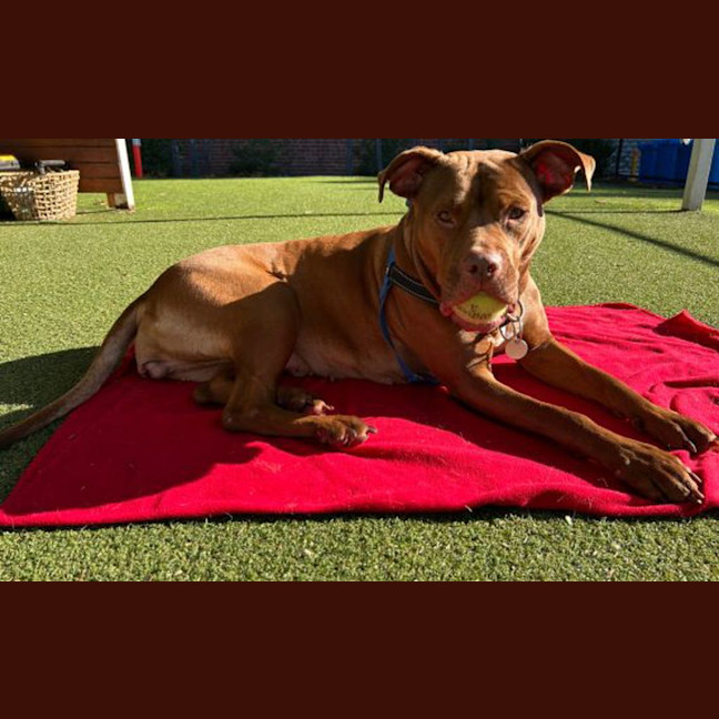 Photo of Maggie