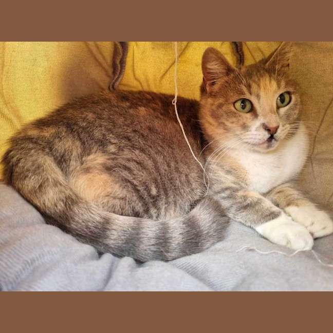 Photo of Zoe
