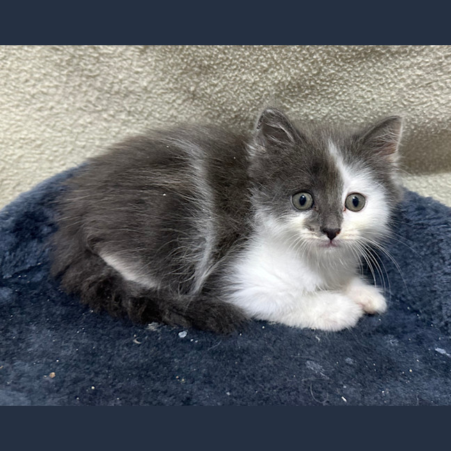 Photo of Maeve 