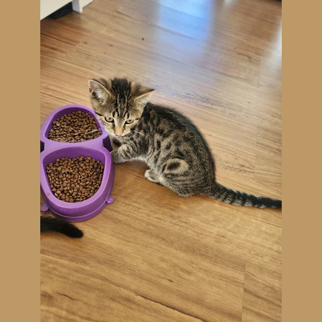 Photo of Oliver