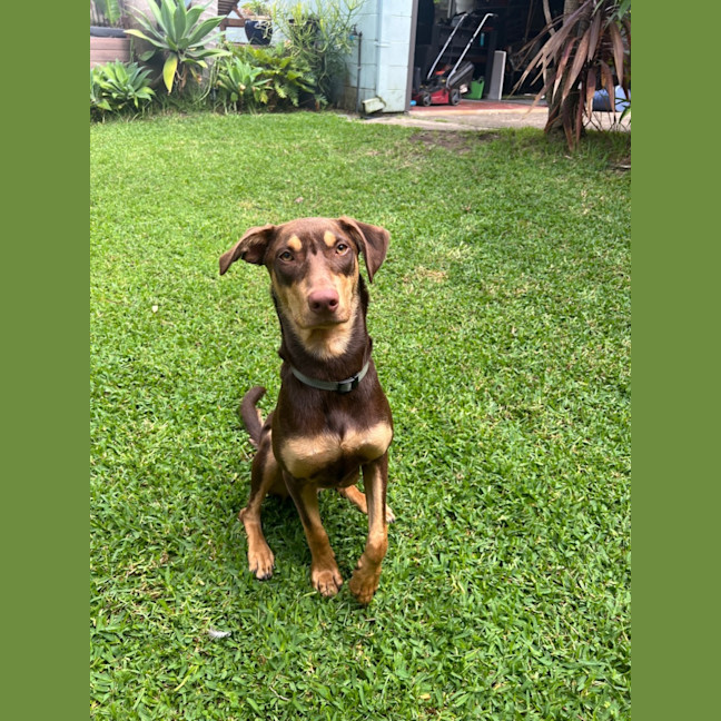 Photo of Spike