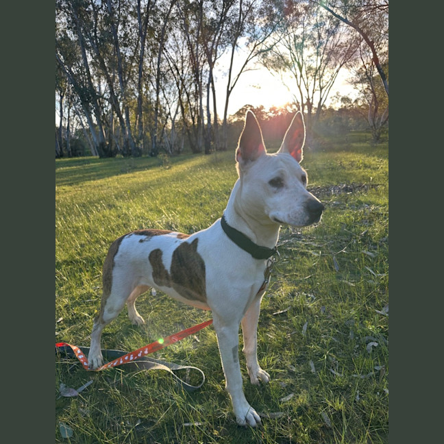Photo of Quilla