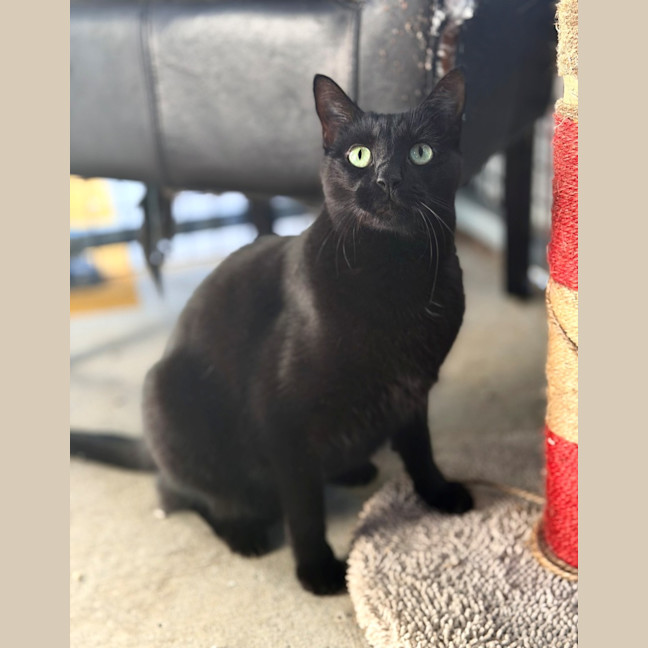 Photo of Esme