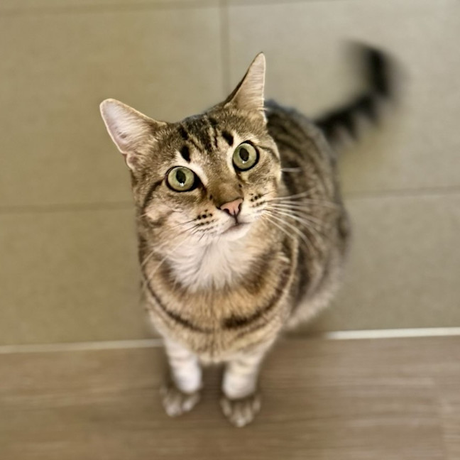 Photo of Kizzie