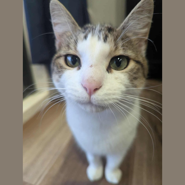 Photo of Miles & Maggie