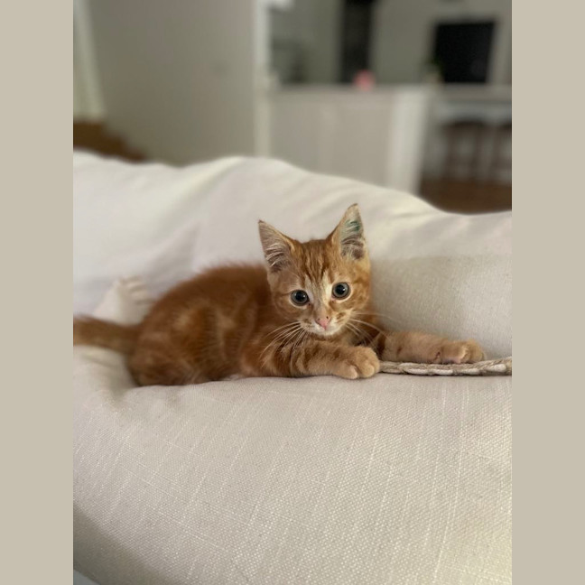 Photo of Harry